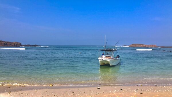 Local Snorkel Cruise - Image 3