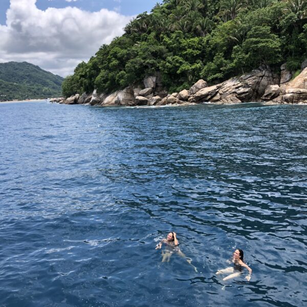 Local Snorkel Cruise - Image 4