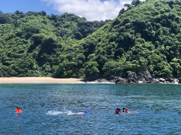 Local Snorkel Cruise - Image 5