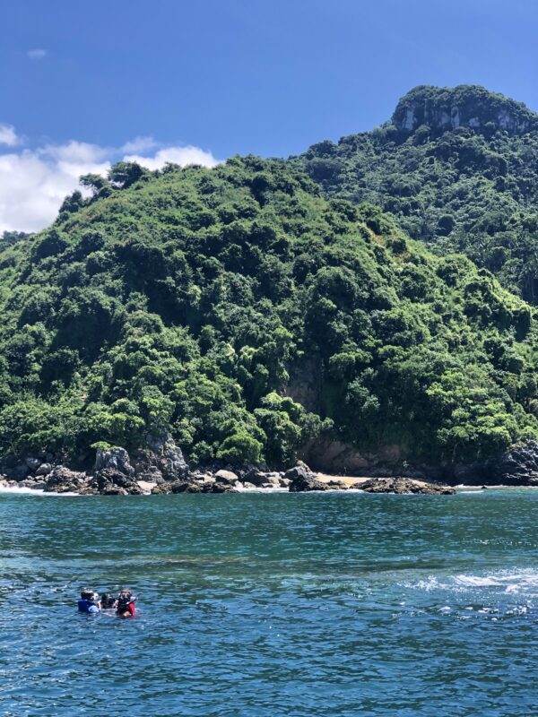 Local Snorkel Cruise - Image 6