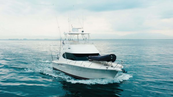 Ultimate Overnight Fishing Adventure - Image 6