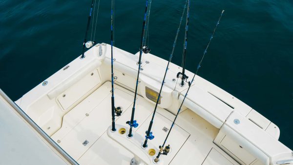 Ultimate Overnight Fishing Adventure - Image 3