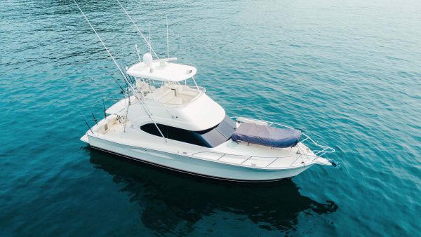 Ultimate Overnight Fishing Adventure - Image 2