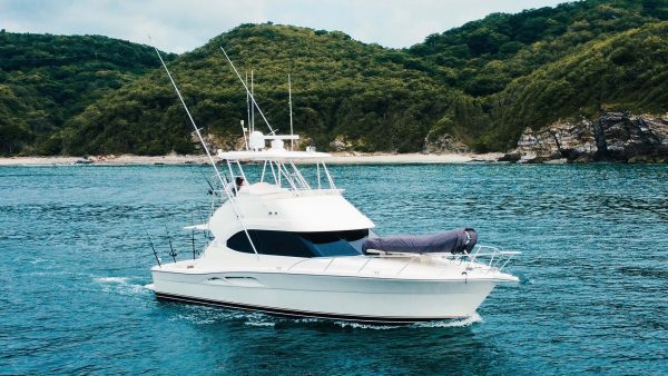 Ultimate Overnight Fishing Adventure - Image 7