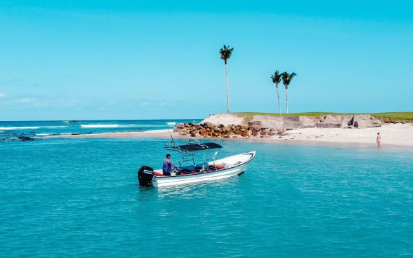 Local Snorkel Cruise - Image 2