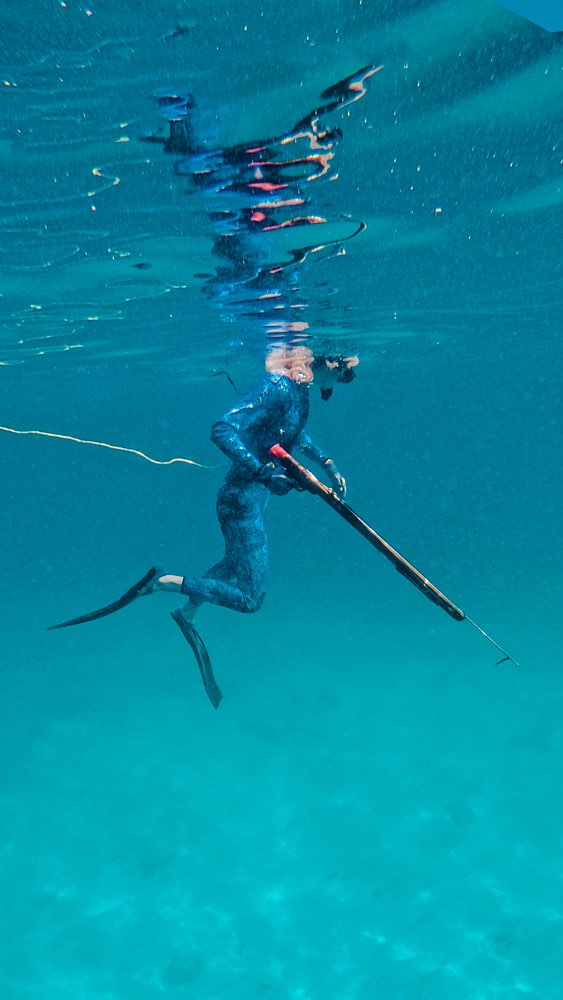 Discover Spearfishing – Spearmex