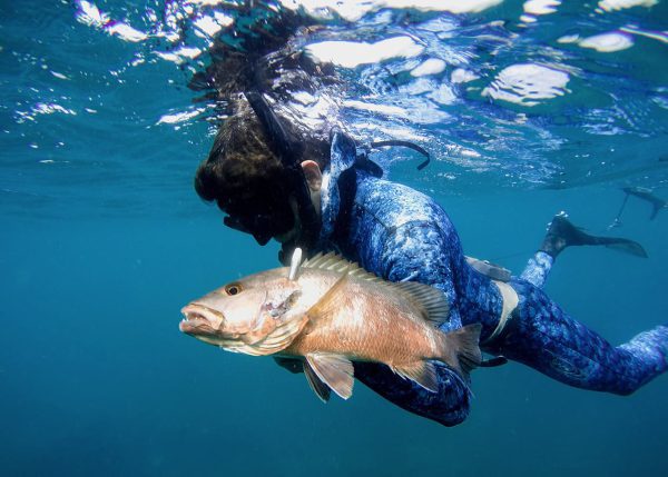 Riviera 45 Reef Hunting - Image 7