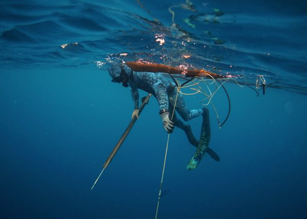 Riviera 45 Blue Water Hunting - Image 9