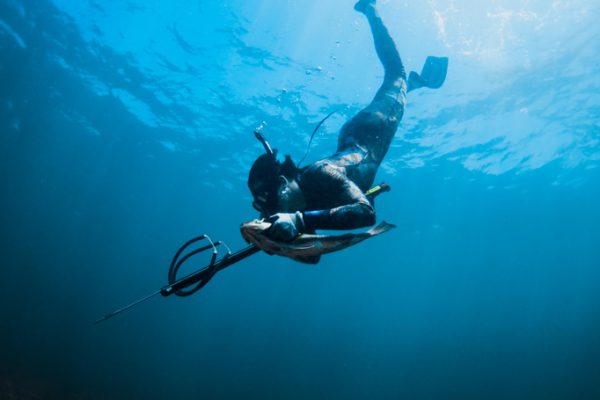 Riviera 45 Reef Hunting - Image 9