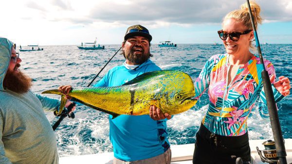 Riviera 45 Big Game Fishing - Image 9