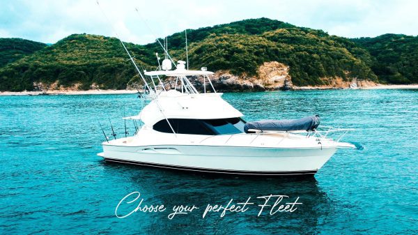 Riviera 45 Big Game Fishing - Image 7
