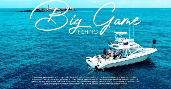 Riviera 45 Big Game Fishing - Image 5