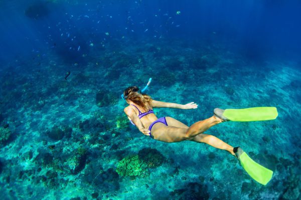 Local Shared Snorkel Cruise
